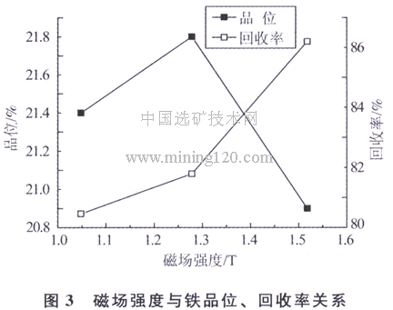 磁場強度與鐵品位牢撼、回收率關(guān)系