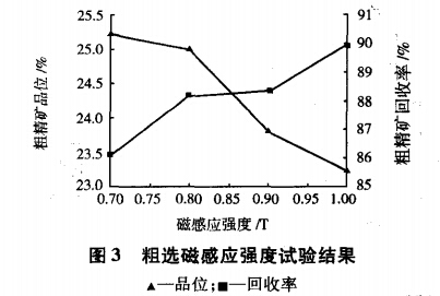 粗選磁感應強度試驗結果